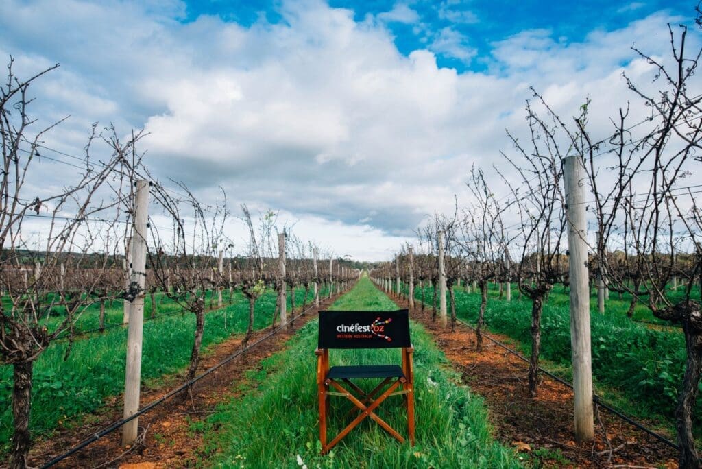 CinefestOZ director chair in the picturesque vineyards of Margaret River