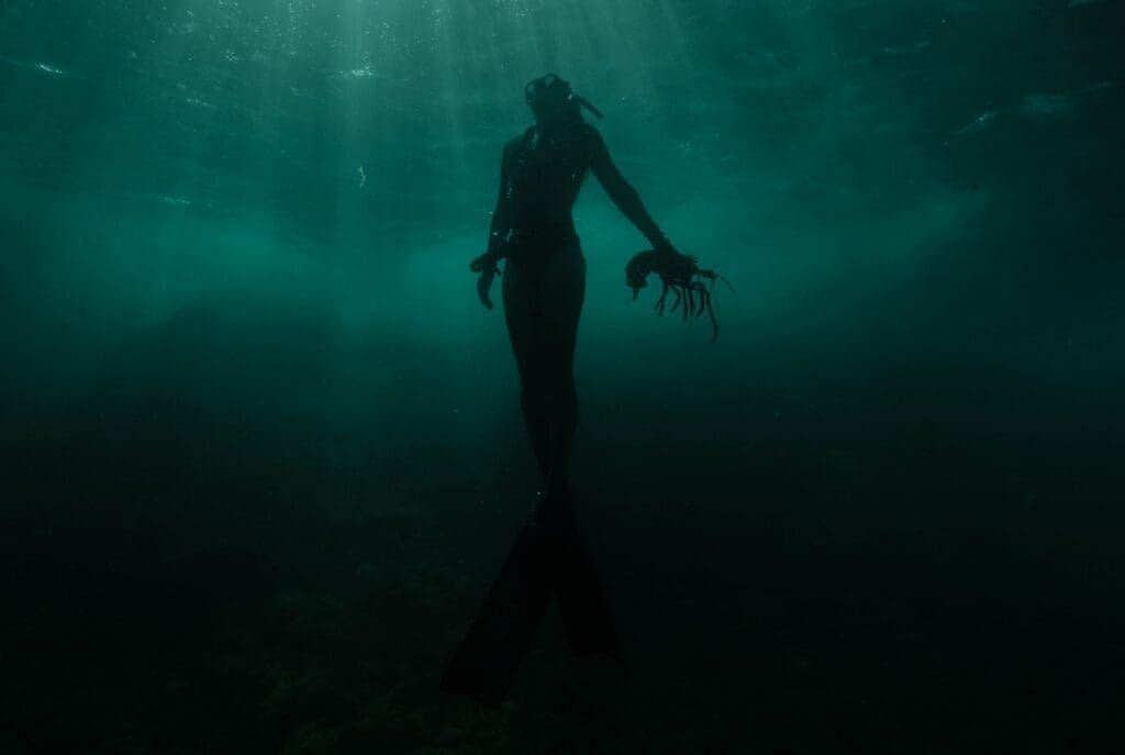 New Breathtaking Margaret River Wine Video