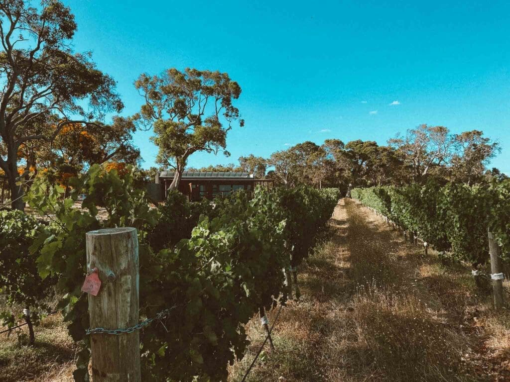 Spring into Fine Vines Festival