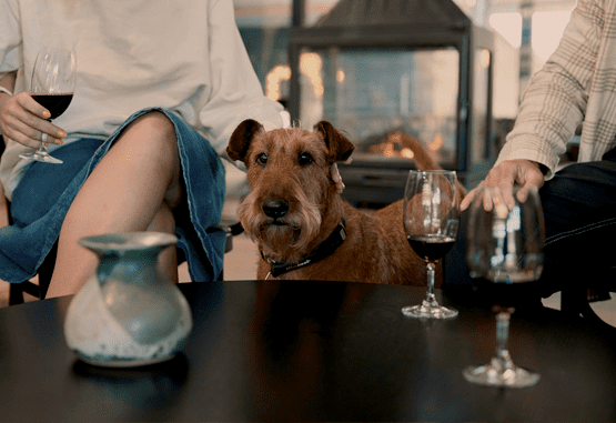 Cosy Cellar Doors to Lounge by the Fireplace this Winter