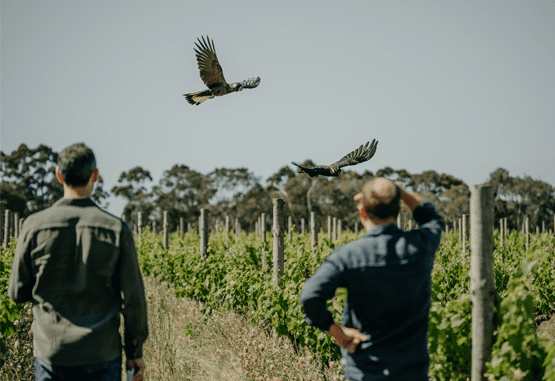 Margaret River Wine Association 2024 Sustainability Report Released