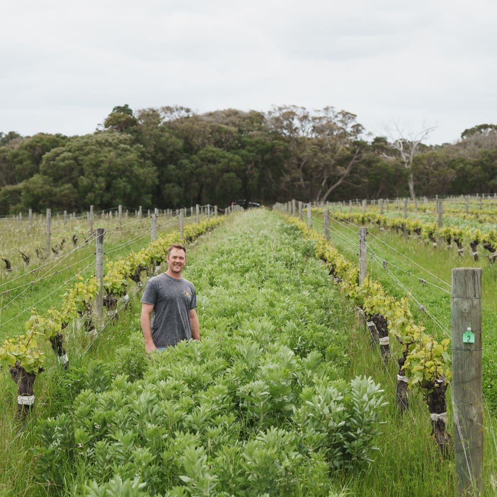 Meet the Maker – Travis Wray – House of Cards